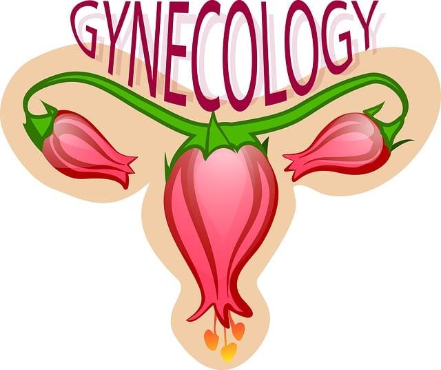 Co všechno obnáší gynekologie: Průvodce pro začátečníky