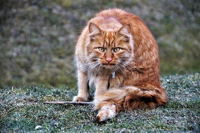 Zaujatá dárková přání pro novopečenou maminku