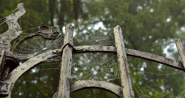 Železo a jeho role při prevenci anémie u těhotných