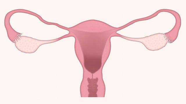 Proč navštěvovat gynekologa i jako muž?