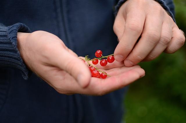 Důležité Kroky Při Plánování Porodu