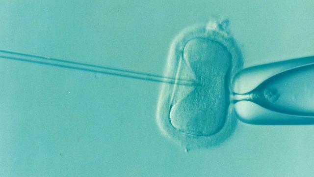 Jakým způsobem může IVF ovlivnit výpočet termínu porodu?