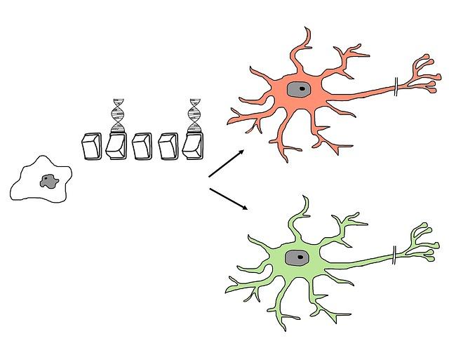 Co je cytologie a jak se liší od histologie?